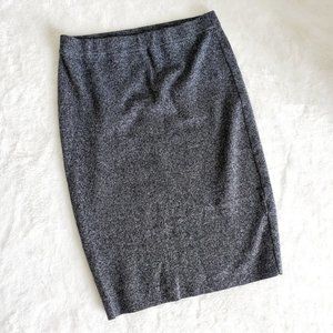 ICONE by Simons pencil skirt